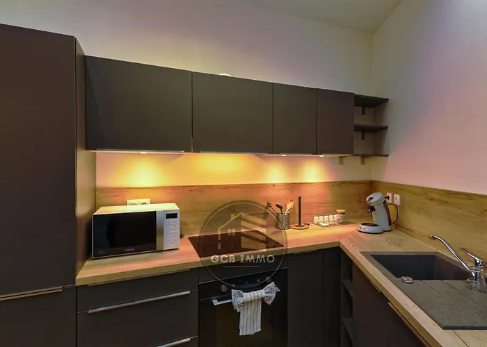 Apartment Le Gambetta T3 Hyper Center