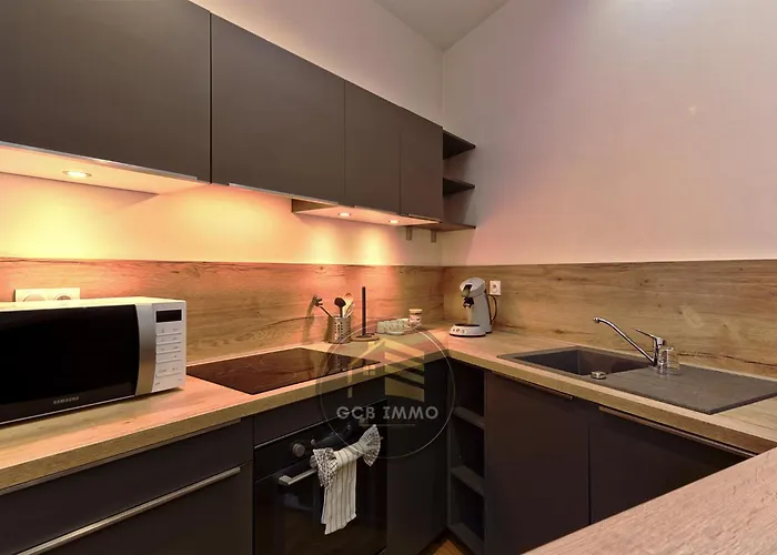 Apartment Le Gambetta T3 Hyper Center