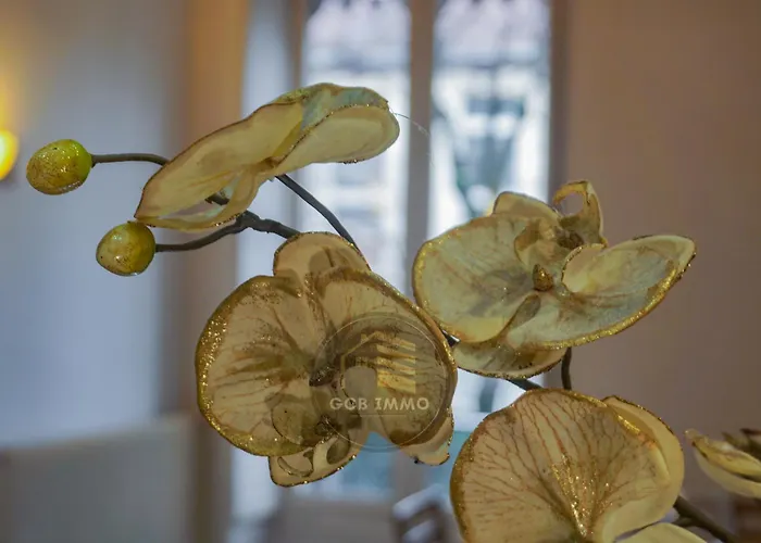 Le Gambetta T3 Hyper Center Apartment *