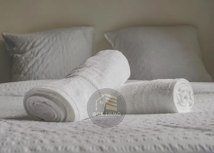 Apartment Le Gambetta T3 Hyper Center *